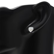 Mother of Pearl Reuleaux Triangle Silver Earrings, e390st